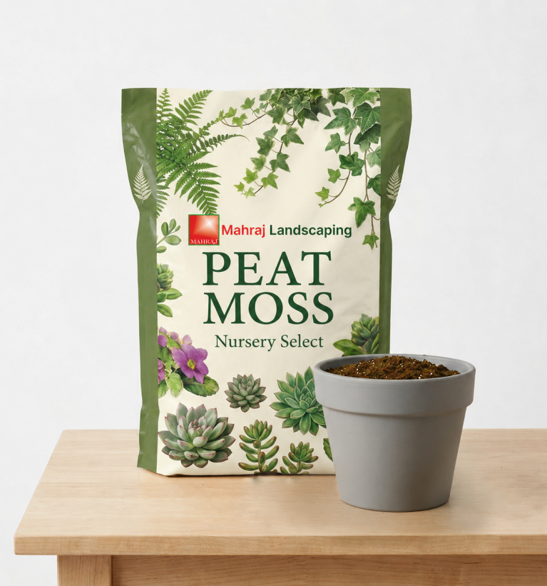 Peat moss