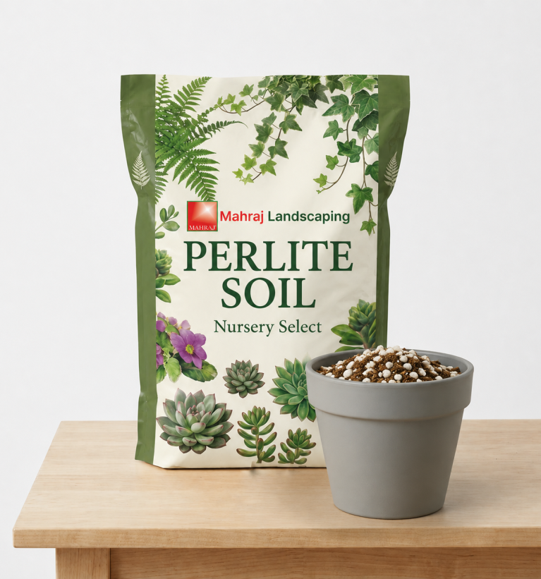 Perlite Soil